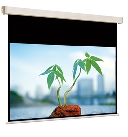 Купить Экраны с электроприводом с матово-белым полотном JT Motors (MW) Экран авт. Cinelectric Eco